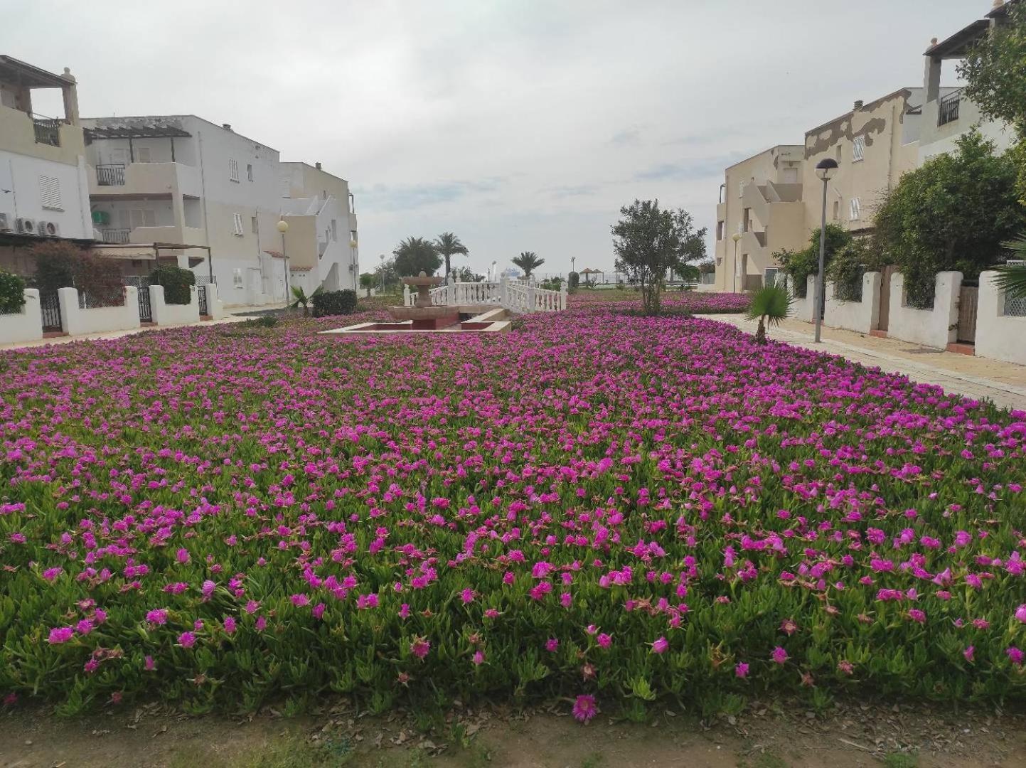 Mar Y Sol 344 Villa Playas de Vera ภายนอก รูปภาพ